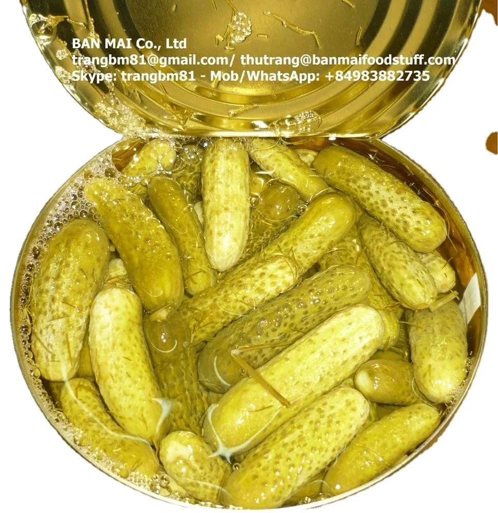 Vietnamese canned Pickled Cornichons/ CUCUMBER/ gherkin in A10 tin Sour Crunchy Taste BAN MAI PRIVATE BRAND COMPETITIVE PRICES