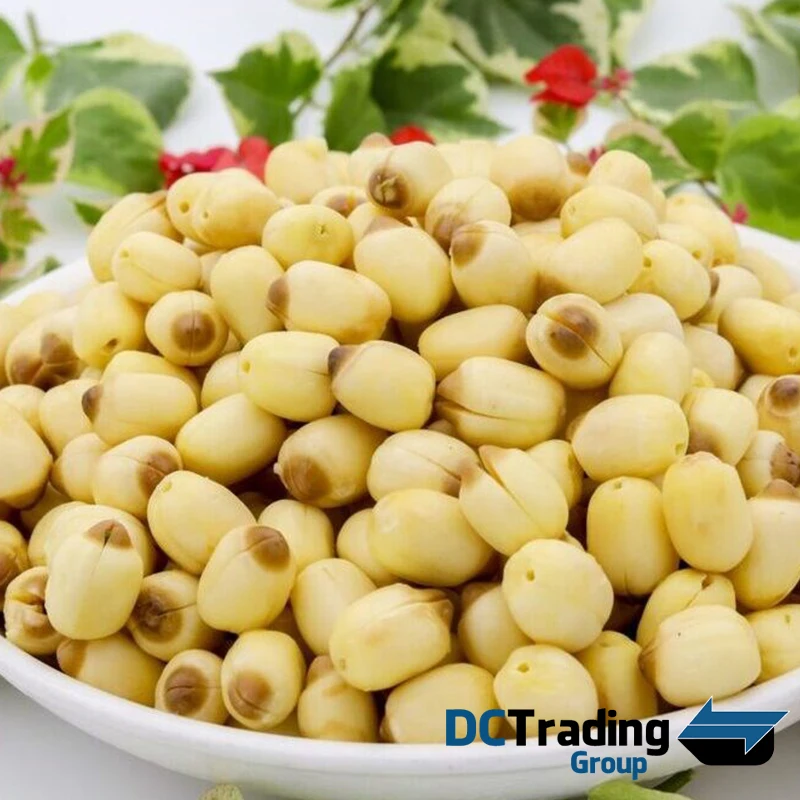 
High Quality White Natural Dried Lotus Seeds - Best Price For 100% Natural Lotus Seed - Dried Lotus Seeds From Vietnam 