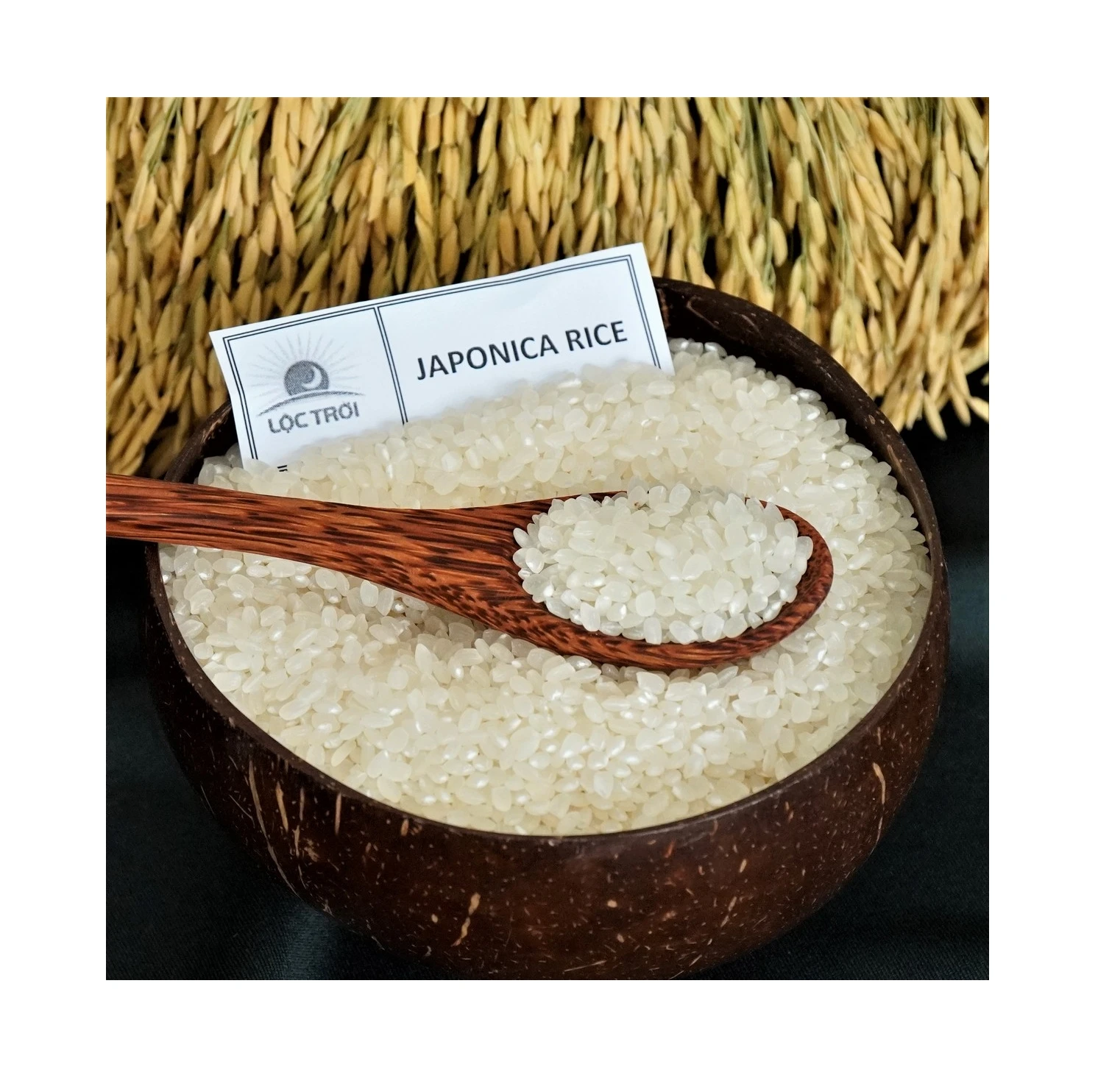High Quality Soft Texture White Rice Short Grain Japonica Rice DS1 from Vietnam Best Supplier Contact us for Best Price