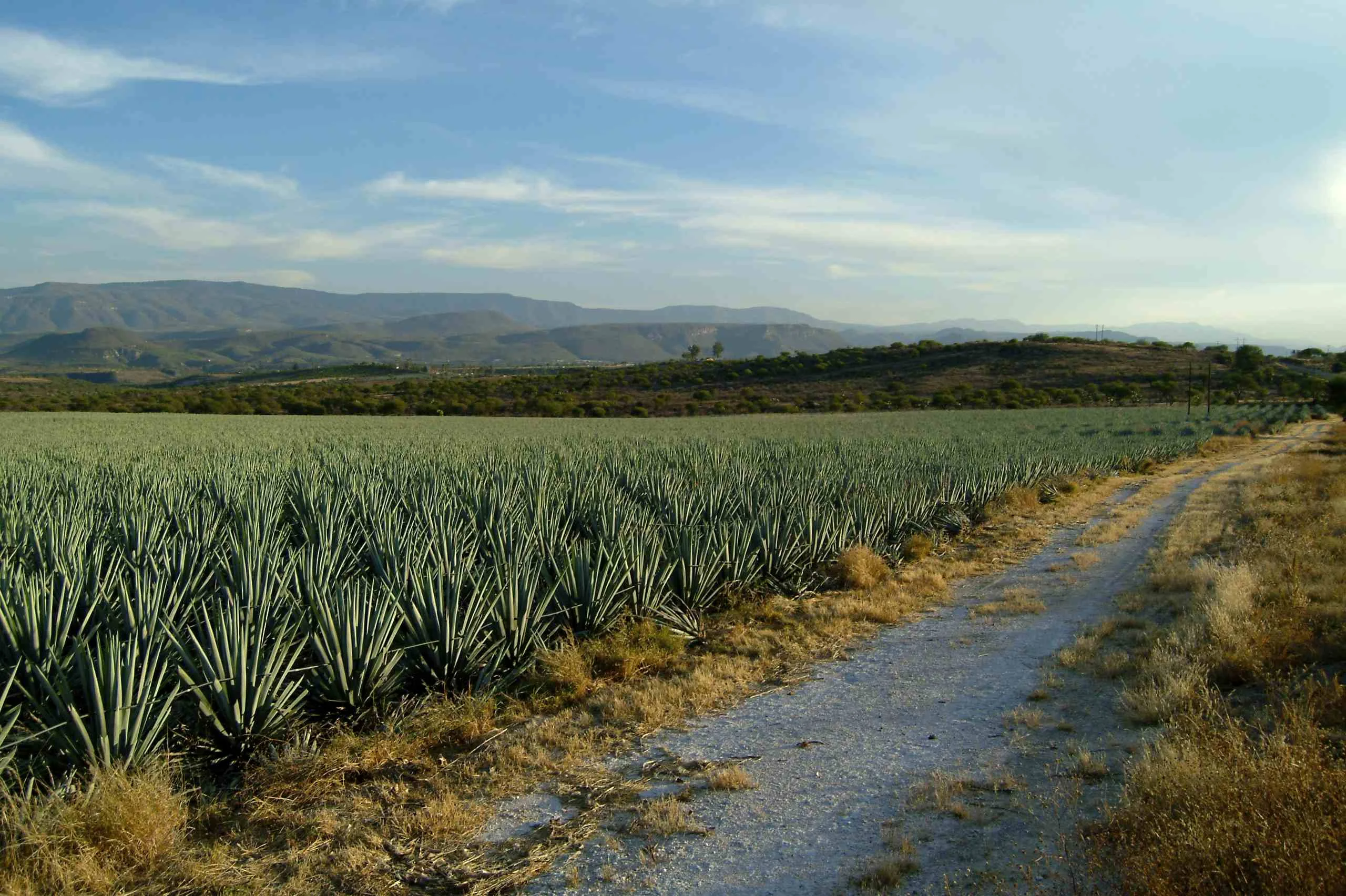 
Mezcal Grand Aztecali (crystalline aged) 