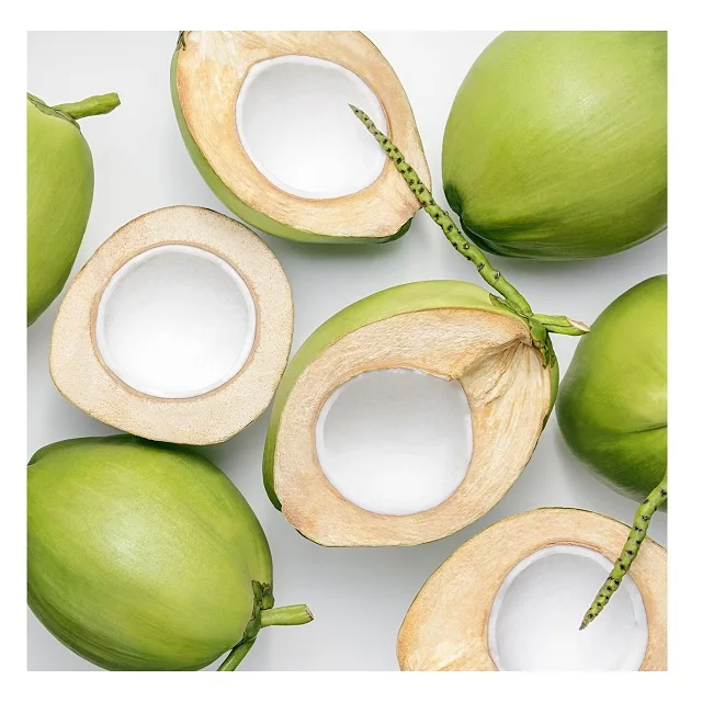 High Quality Fresh Coconuts at Cheapest Wholesale Prices Available In Huge Stock