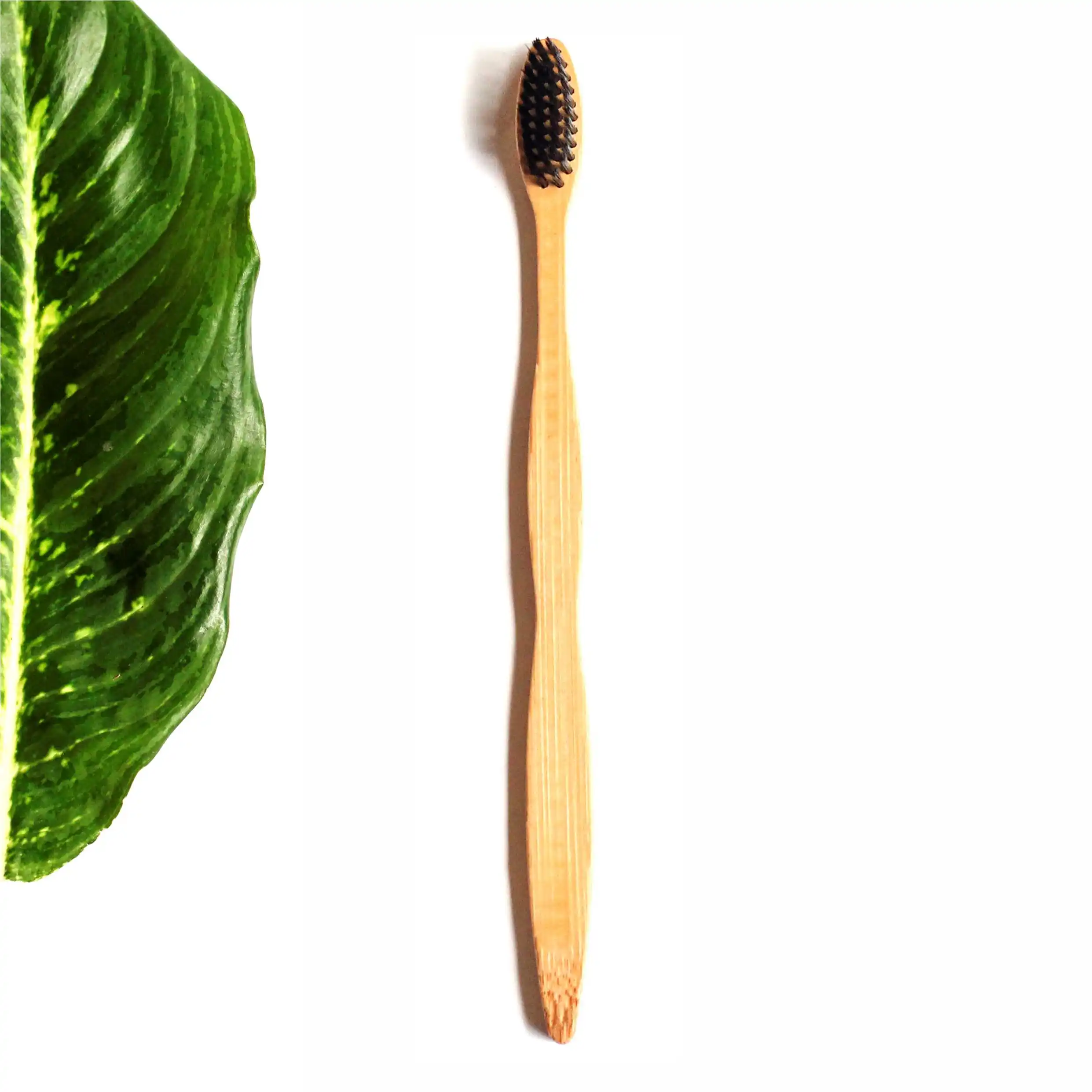 Eco friendly 100% natural bamboo toothbrush for adults and kids with custom logo private brand