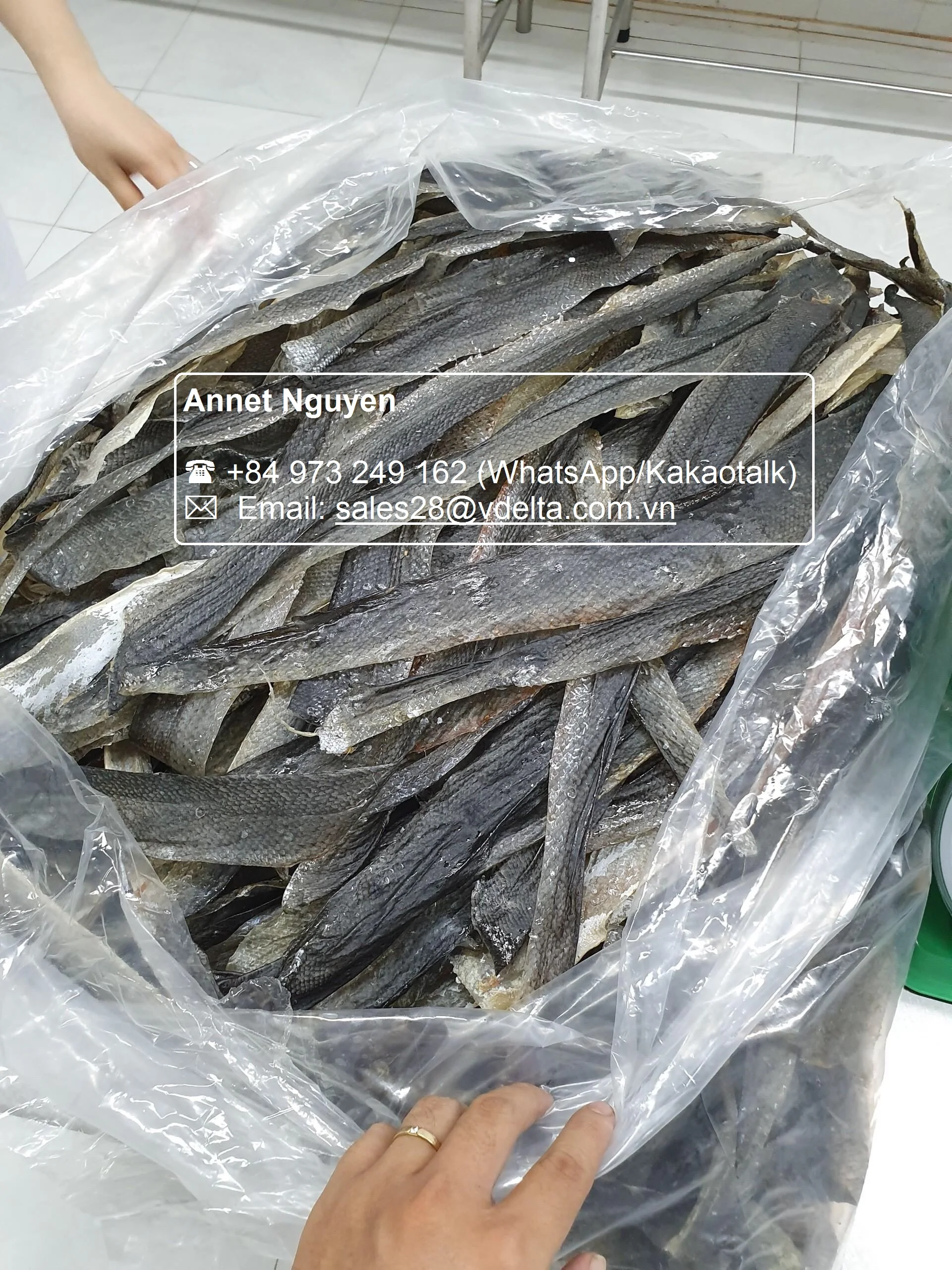 CHEAP PRICE DRIED SALMON/PANGASIUS/ BASA FISH SKIN // Amy +84 383 655 628
