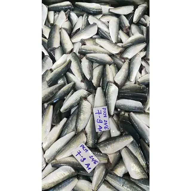 Frozen Round scad HGT for market canned fish From Viet Nam -  cheapest price, high quality