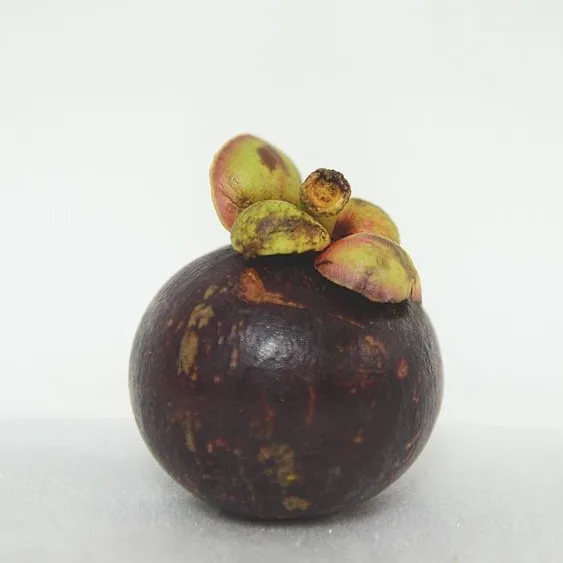 
Fruit New Cultivation Of Crops - Mangosteen Fruit Special Price 