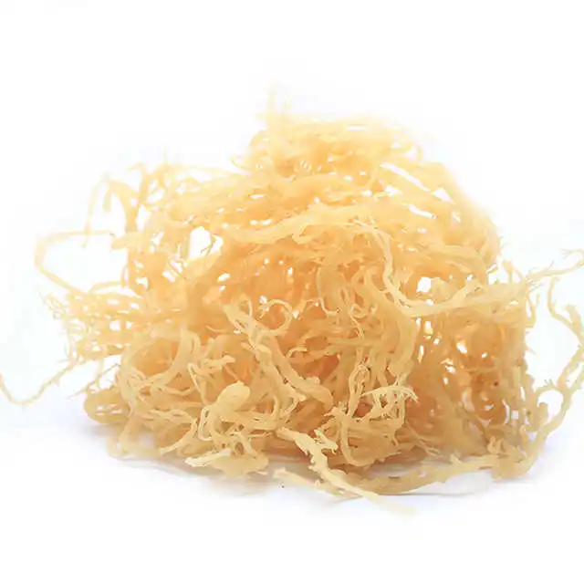 
Dried wildcrafted irish moss/ sea moss from Vietnam 
