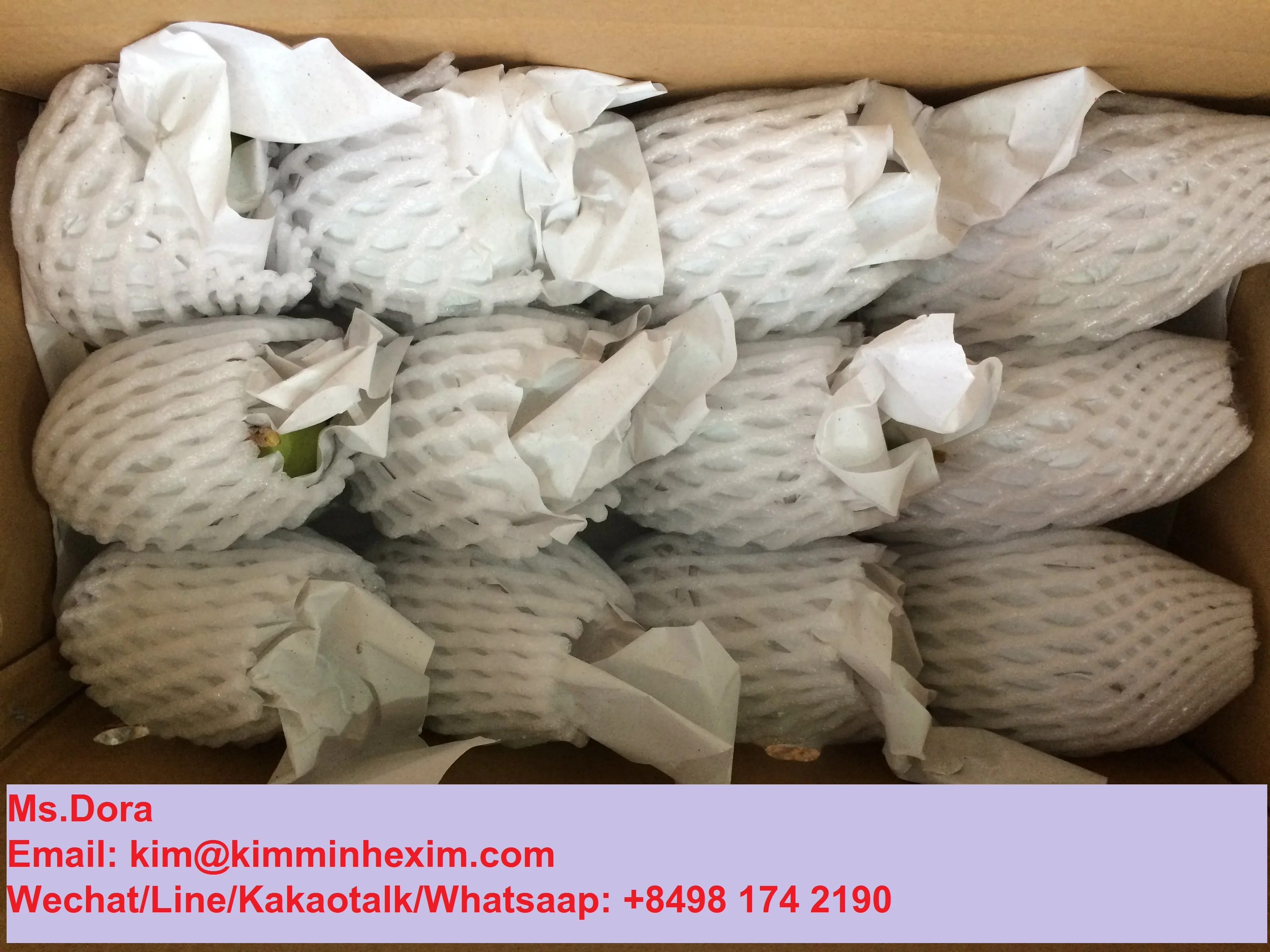 2022 Premium Fresh Mango/Mango Sweet Mango VietNam