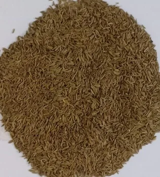 Egyptian Caraway Seeds  Wholesale High Purity Single Spices Herbs