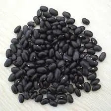 
High quality Black Kidney Beans 