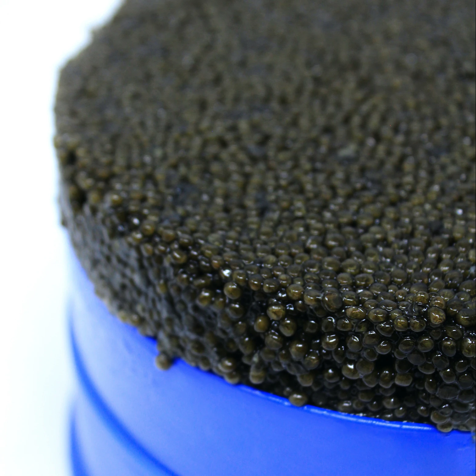 Top Quality Italian Sustainable Siberian Sturgeon Caviar Malossol 1800gr Tin