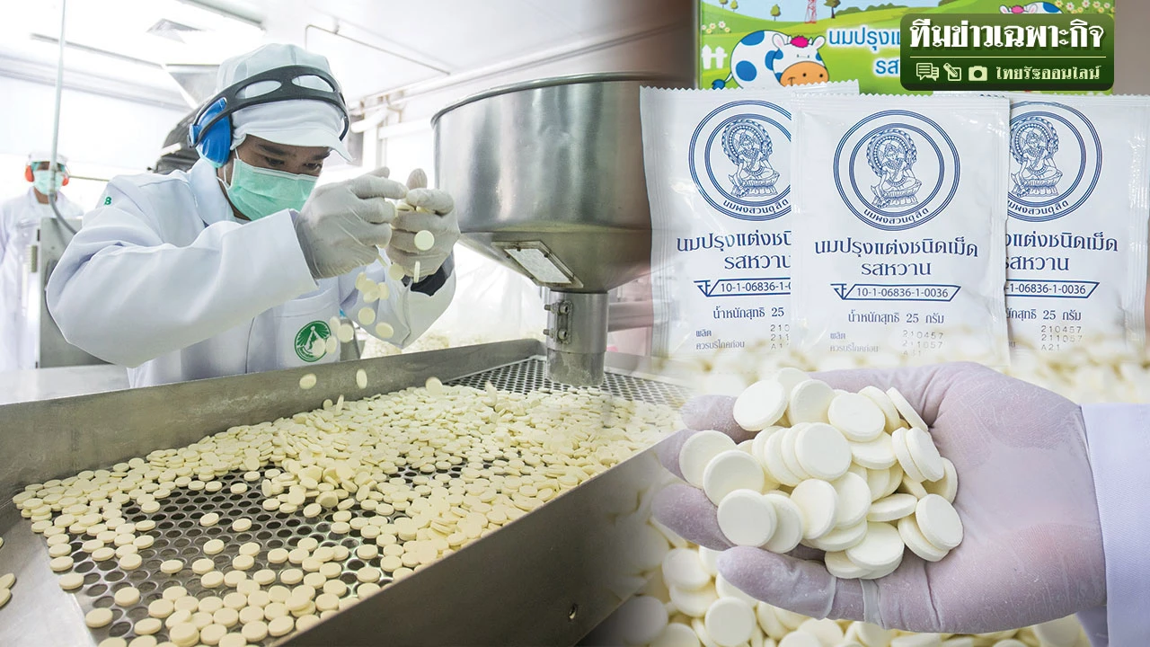 Таблетки для сладостей, тайский Королевский проект, King Factory