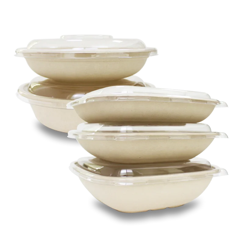 EASYPACK 3 compartment takeaway food packing pulp trays with lid