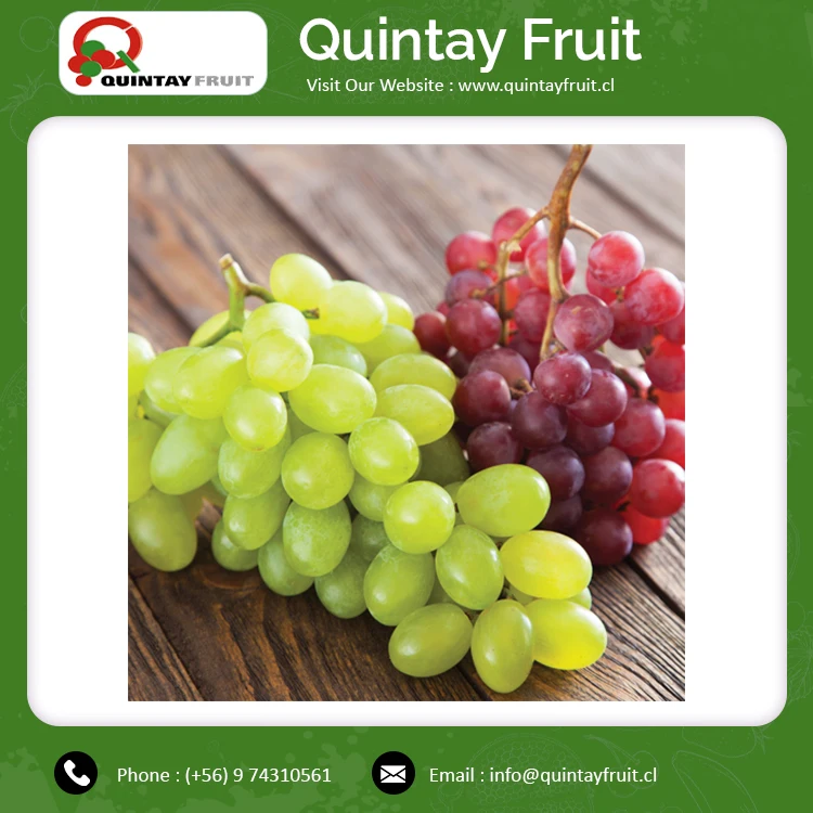 Томпсон без рассады зеленый виноград лидер продаж 2021 оптовая продажа сладкий свежий столовый фрукты