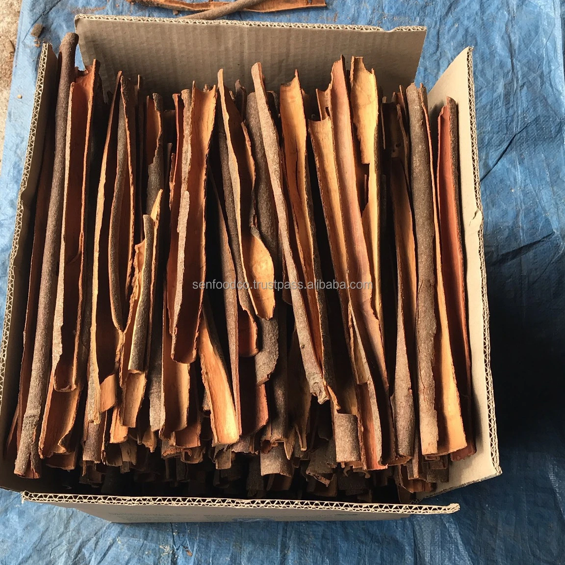 Новый Урожай натурального цвета раздельная Кассия хорошего качества из Вьетнама осень 2021