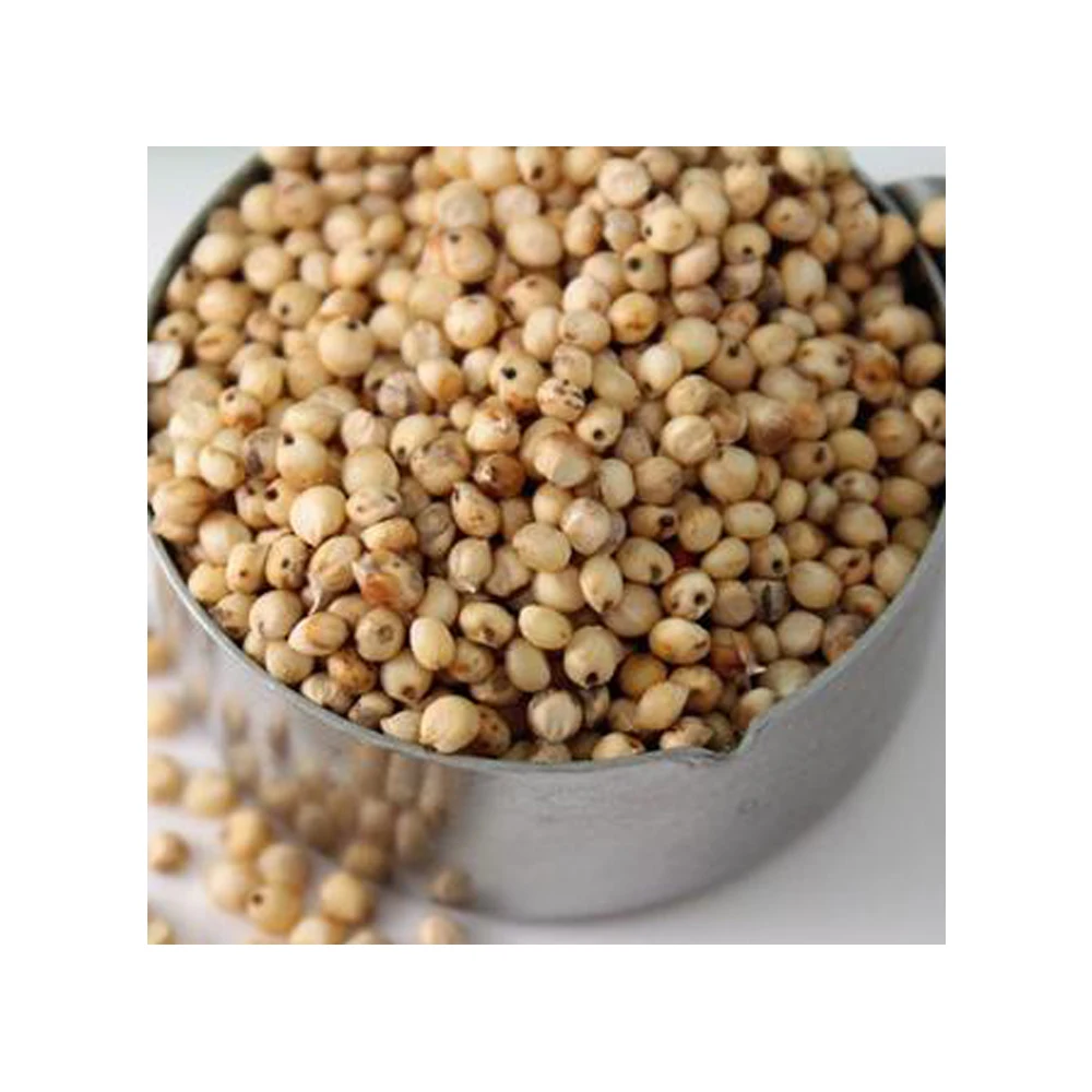 100% органический сорго, Самые продаваемые семена, чистый и натуральный, высшее экспортное качество по 10% низкой оптовой цене