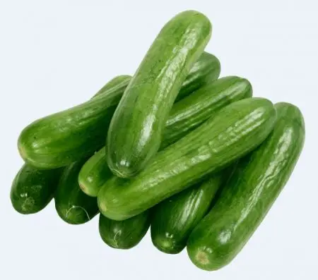 
fresh mexican slicer cucumbers 