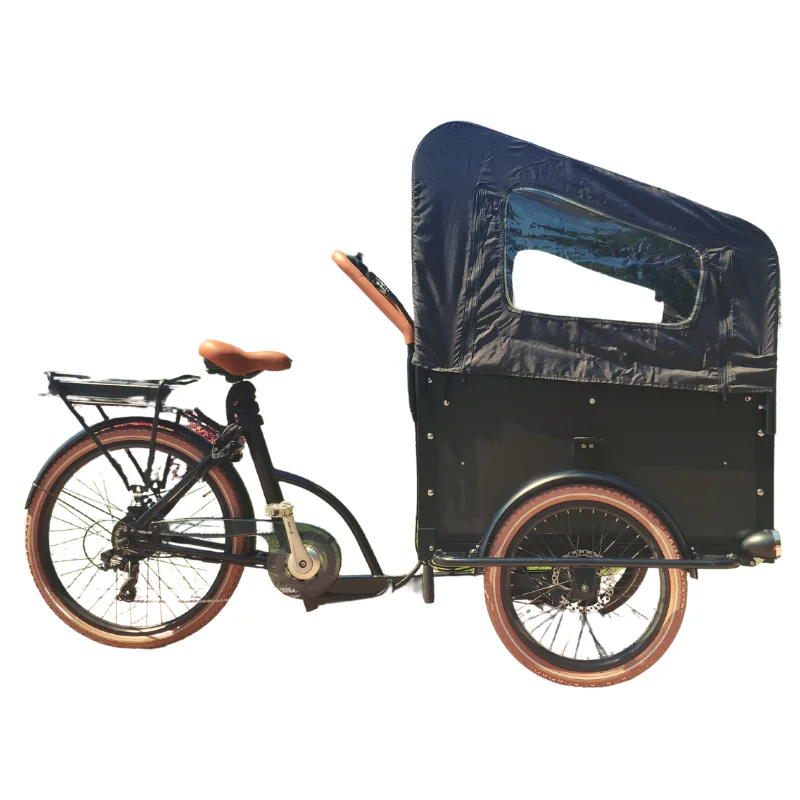 251 - 350W 7Speed 48V 13Ah E-Cargo Three Wheel Electric Bicycle Rickshaw Electric Bike 3 Wheels Tricycles