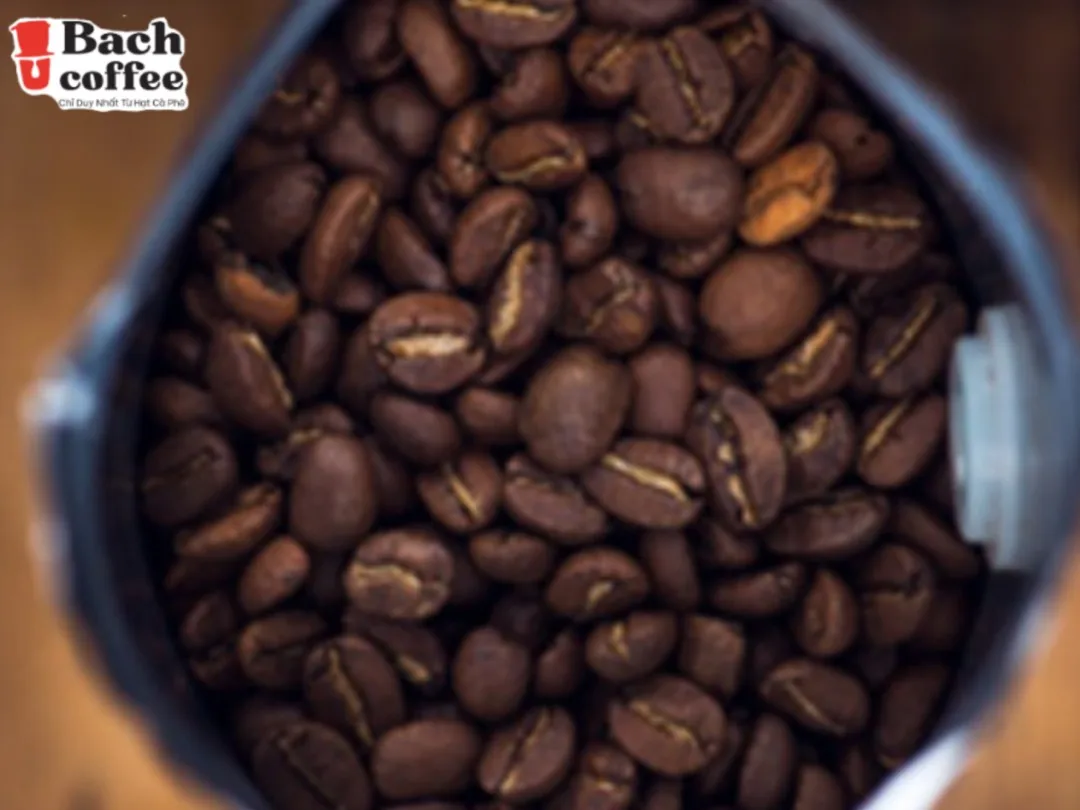 Espresso Italiano Whole Bean Coffee Blend, Medium Roast, Small Batch ,  Hand Picked , Fair Direct Trade , Private label