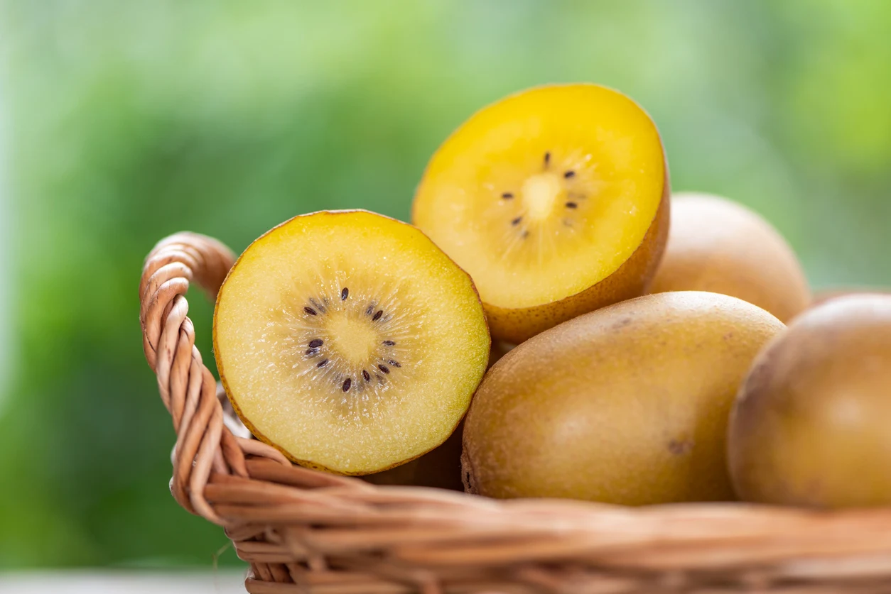 Top Quality Kinds of IQF frozen fruit Gold Kiwi