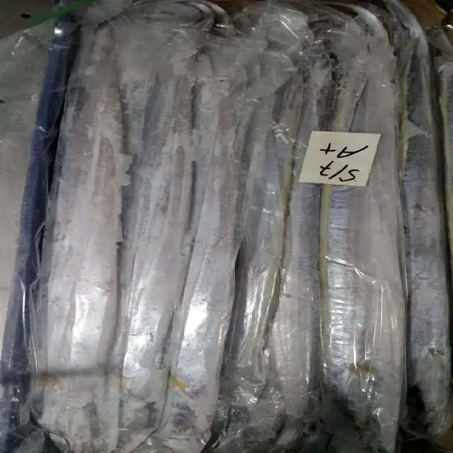 Frozen Ribbon Fish - Export Quality Balochistan FIsh Product From Pakistan Seafood