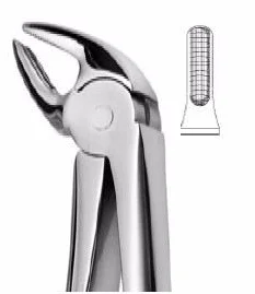 Premium Quality Extracting Forceps Fig 4 English Pattern Stainless Steel Non Slip Jaws