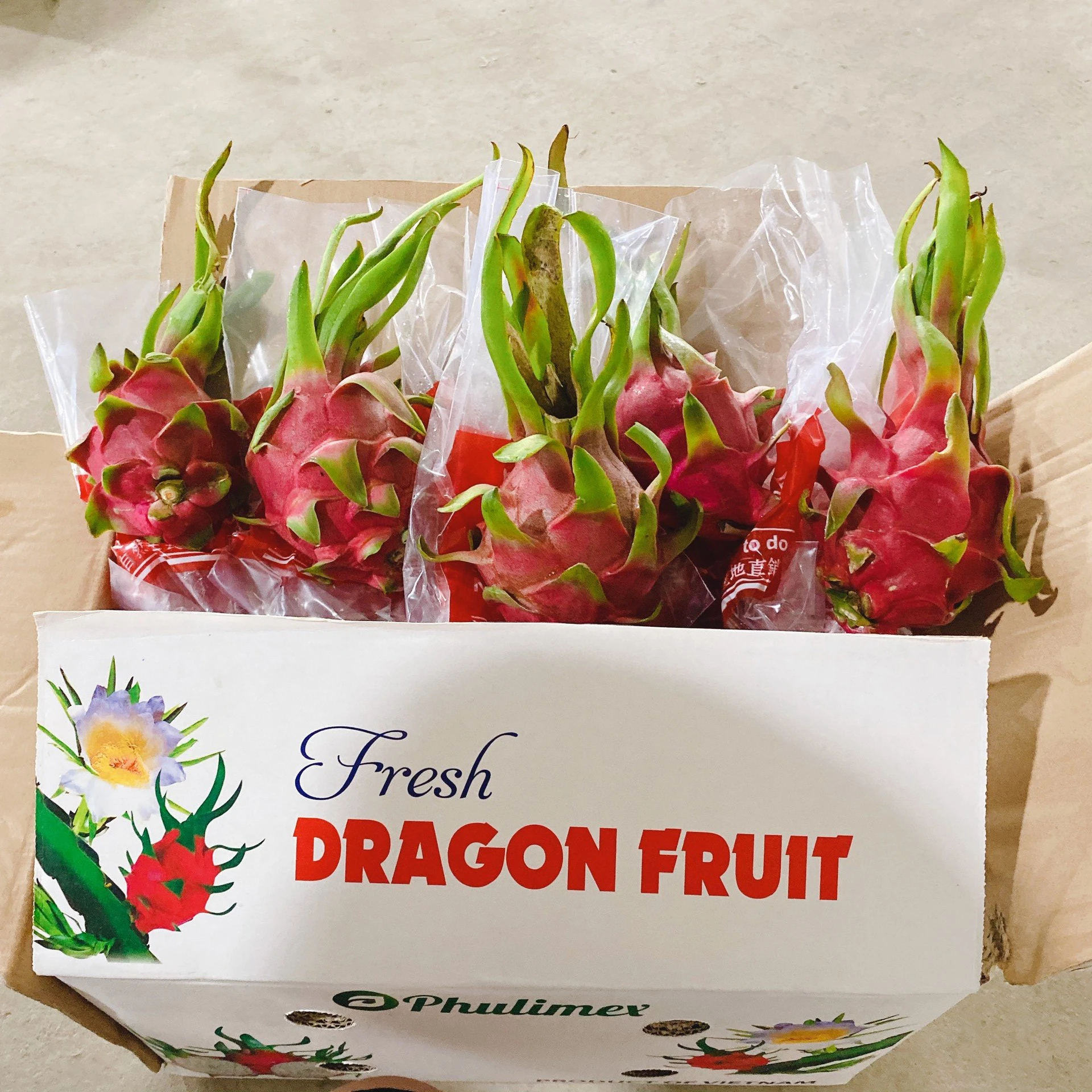 Natural dragon fruit - Fresh dragon fruit / dragon fruit with high quality whatsapp +84966208131