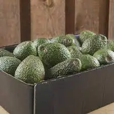 Свежий авокадо из Германии для