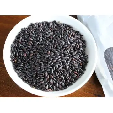 Лидер продаж Круглый клейкий рис высокого качества для экспорта Вьетнам черный (Ms Деми + 84 961 733 400)