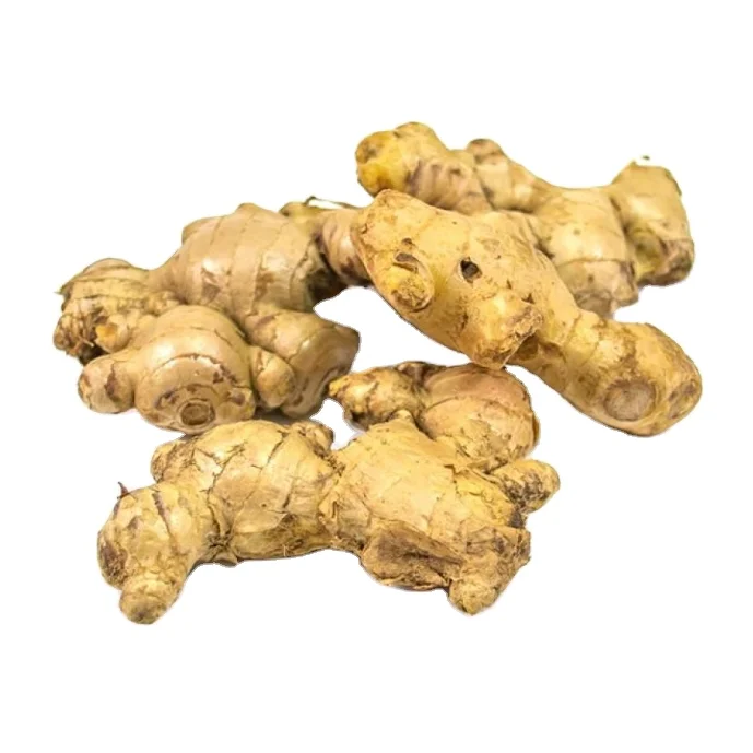 
Shandong fresh ginger for export 