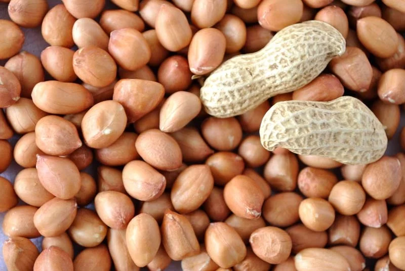 pink skin groundnut java 60 70 count best buy offer super fine peanut