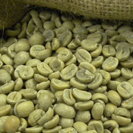 Organic Robusta and Arabic Coffee Beans/Raw Coffee Beans for sale