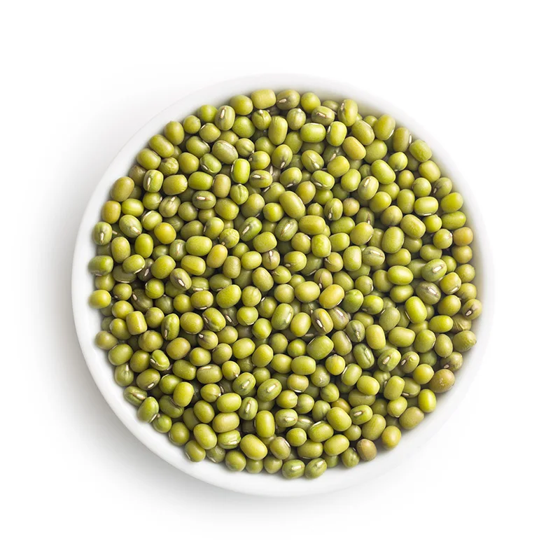 
WHOLESALE GOOD QUALITY ETHIOPIANB BUIK SPROUTING GREEN MUNG BEANS 