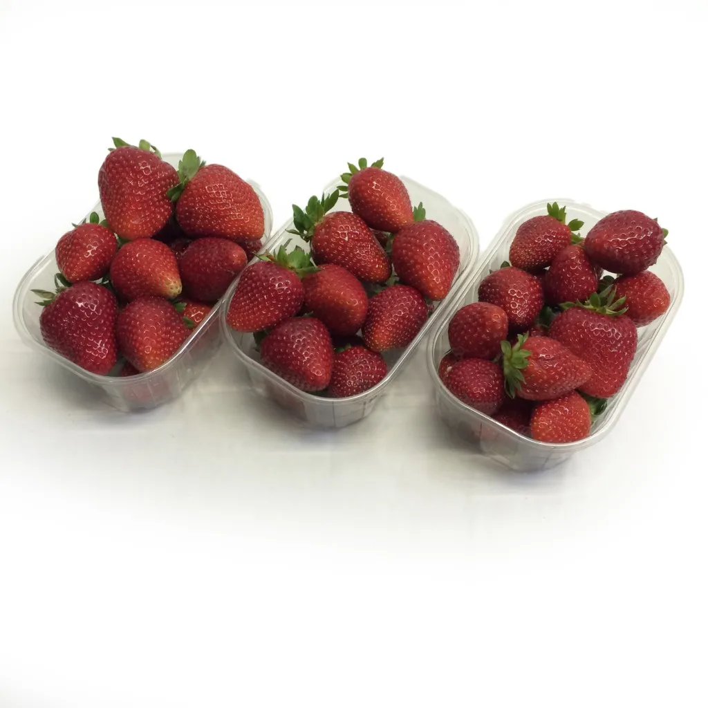  Лидер продаж свежая клубника премиум класса из Таиланда от SP Organic International
