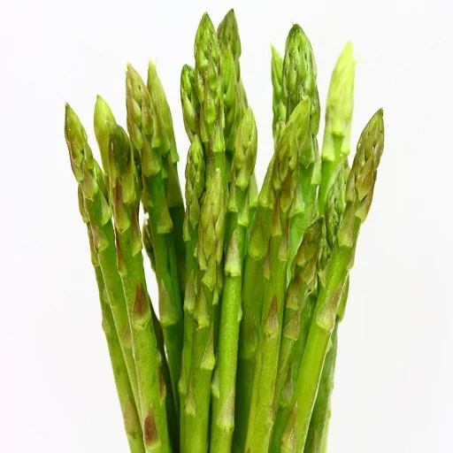 FRESH ASPARAGUS / FROZEN ASPARAGUS