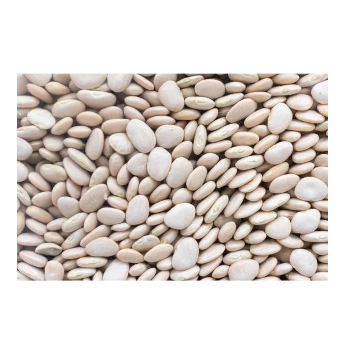 
100% Natural Quality Wholesale Supplier Of Large Lima Beans At Cheap Price 