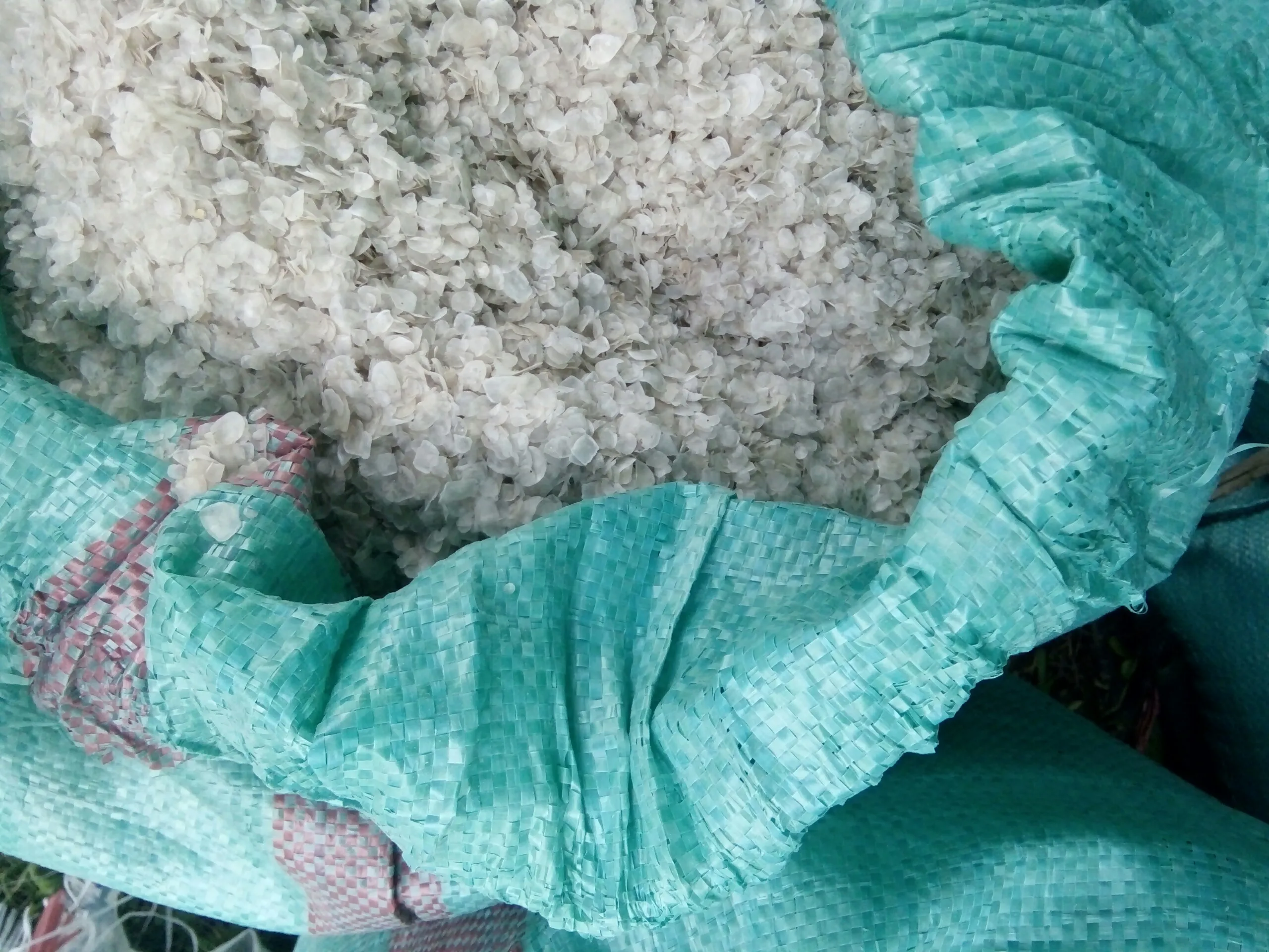 Best Seller Dried Fish Scales for Gelatin Production in KOREAN/Japan Fish Collagen /Louis +84 943481858