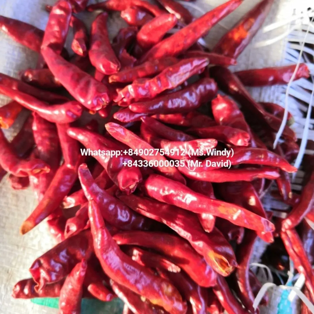 chili dried5.jpg