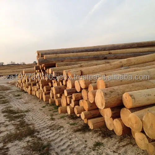 wood-logs-500x500.jpg