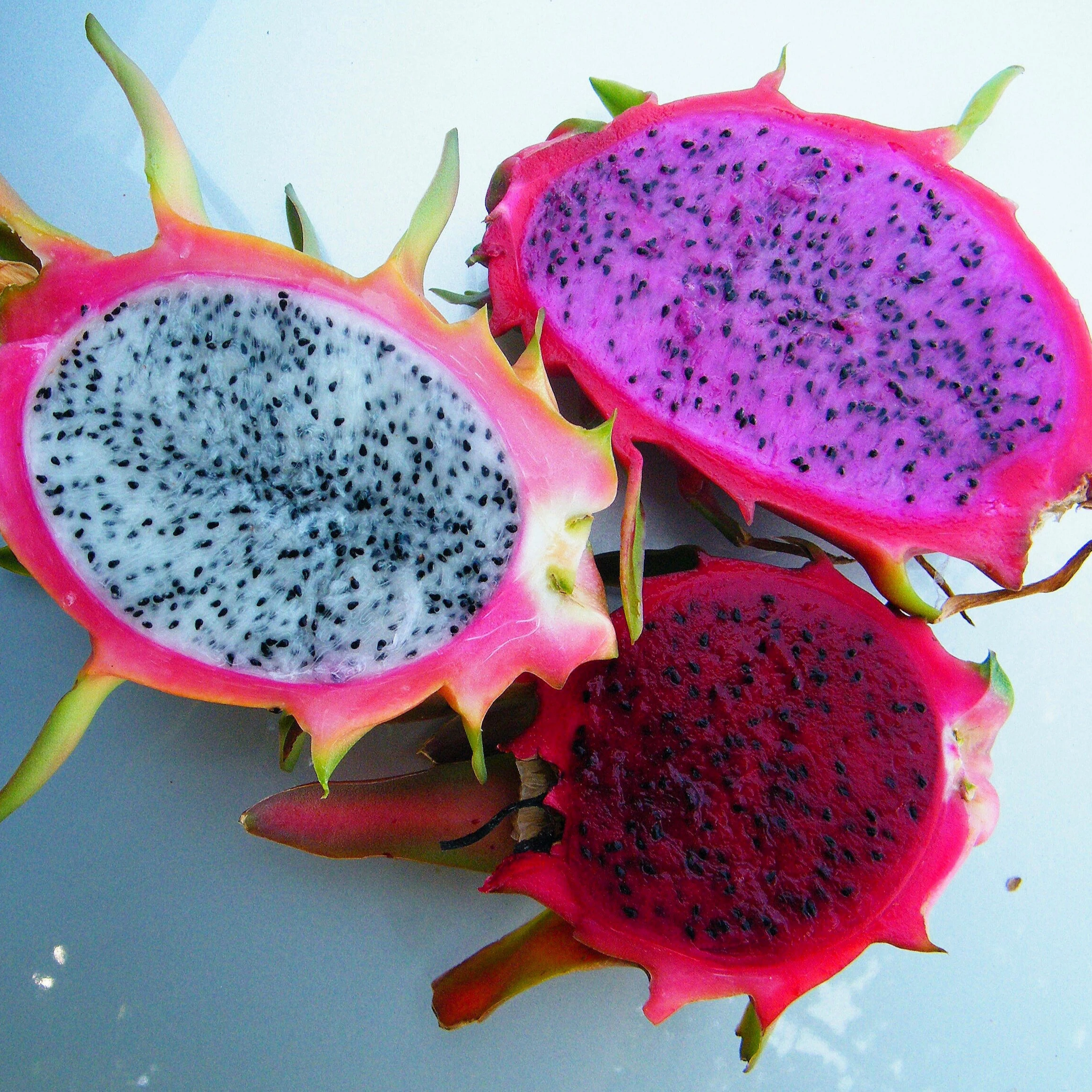 
Supply Fresh Dragon Fruit With High Quality And Competitive Price 2021 