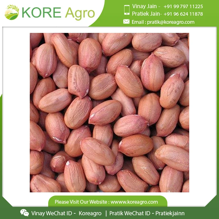  100% органический обычный выращиваемый натуральный сушеный арахис Java индийский заземляющий орех индийское производство и поставщик