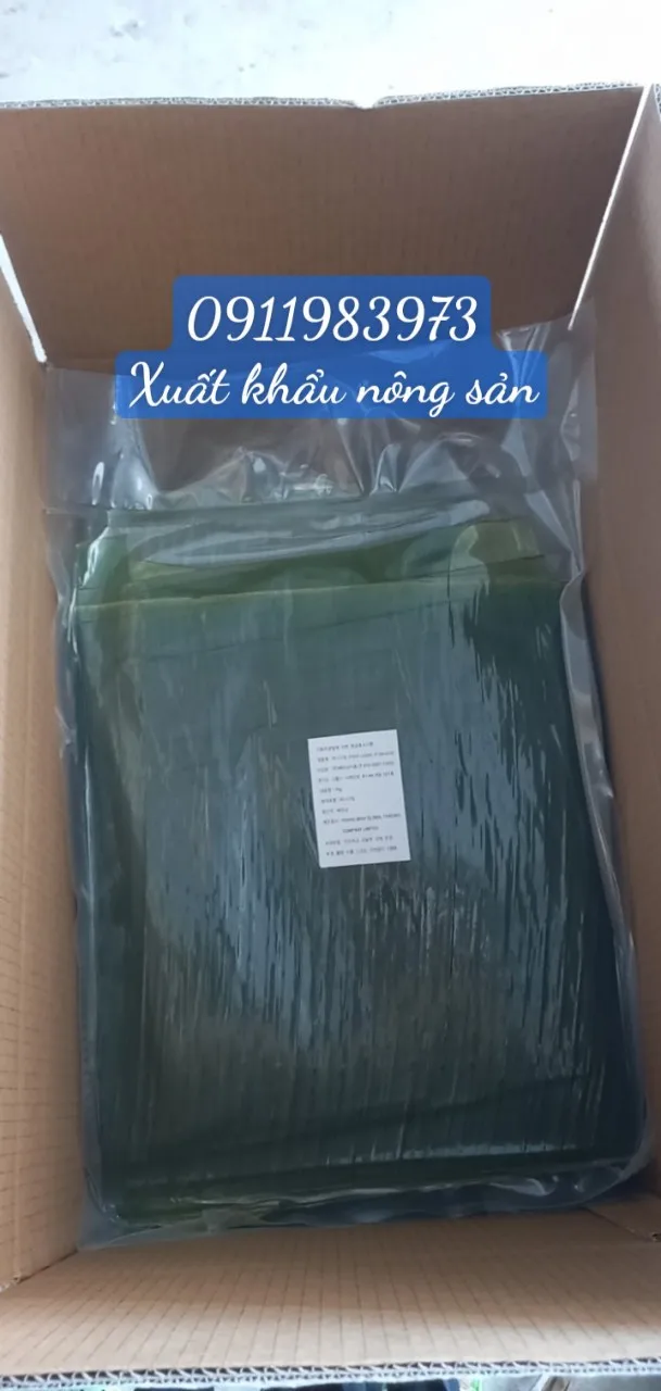 Свежие банановые листья из вьетнамских банановых листьев оптовые поставщики