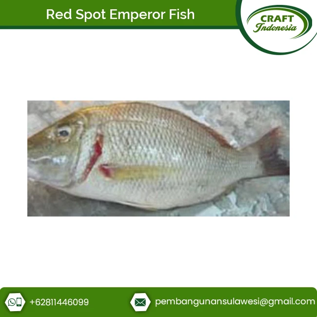 Quality Certified Frozen Red Spot Emperor Fish Fillet from Leading Seller