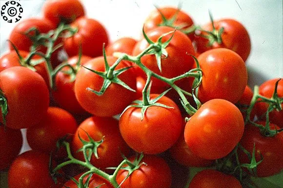 Итальянская томатная рубленная томатная банка пищевая пульпа 2,5 кг томатная банка