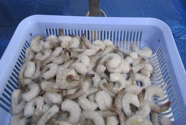 IQF PDTO VANNAMEI SHRIMPS INDIAN ORIGIN SIZE 31/40 PEELED DEVEINED VANNAMEI SHIMPS