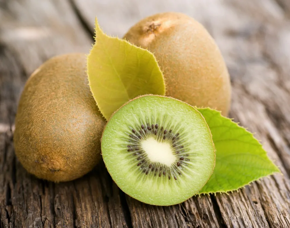 Wholesale New Crop 2021 Fresh Certification Kiwi fruit