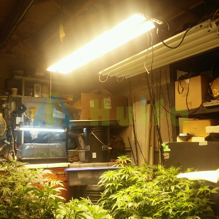 Full Spectrum Red and Blue Plant Lamp LED Grow Light for Indoor Plant