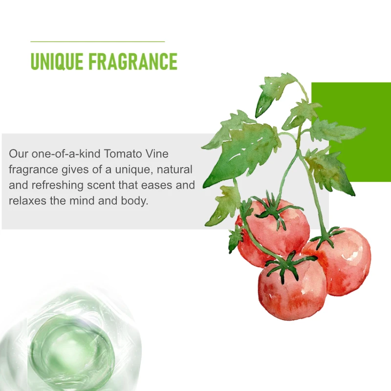 Face primer Vegan Serum Moisturizing Foundation Makeup Oil Control Makeup base Hyaluronic Acid