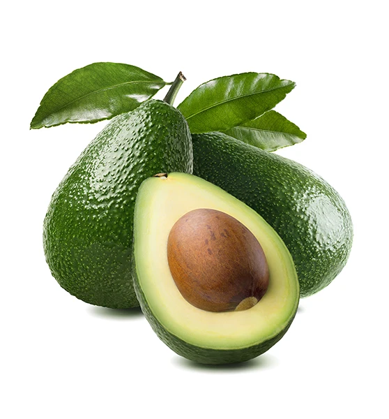 
Fresh Avocado For Sale/Cheap Avocado 