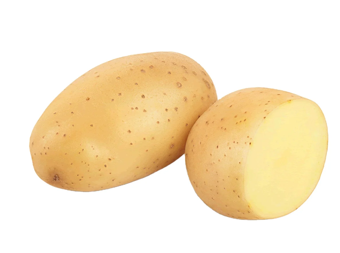 Лучший поставщик картофеля по всему миру/Голландия/мозика/Леди Розетта/большой коричневый картофель Санта для продажи