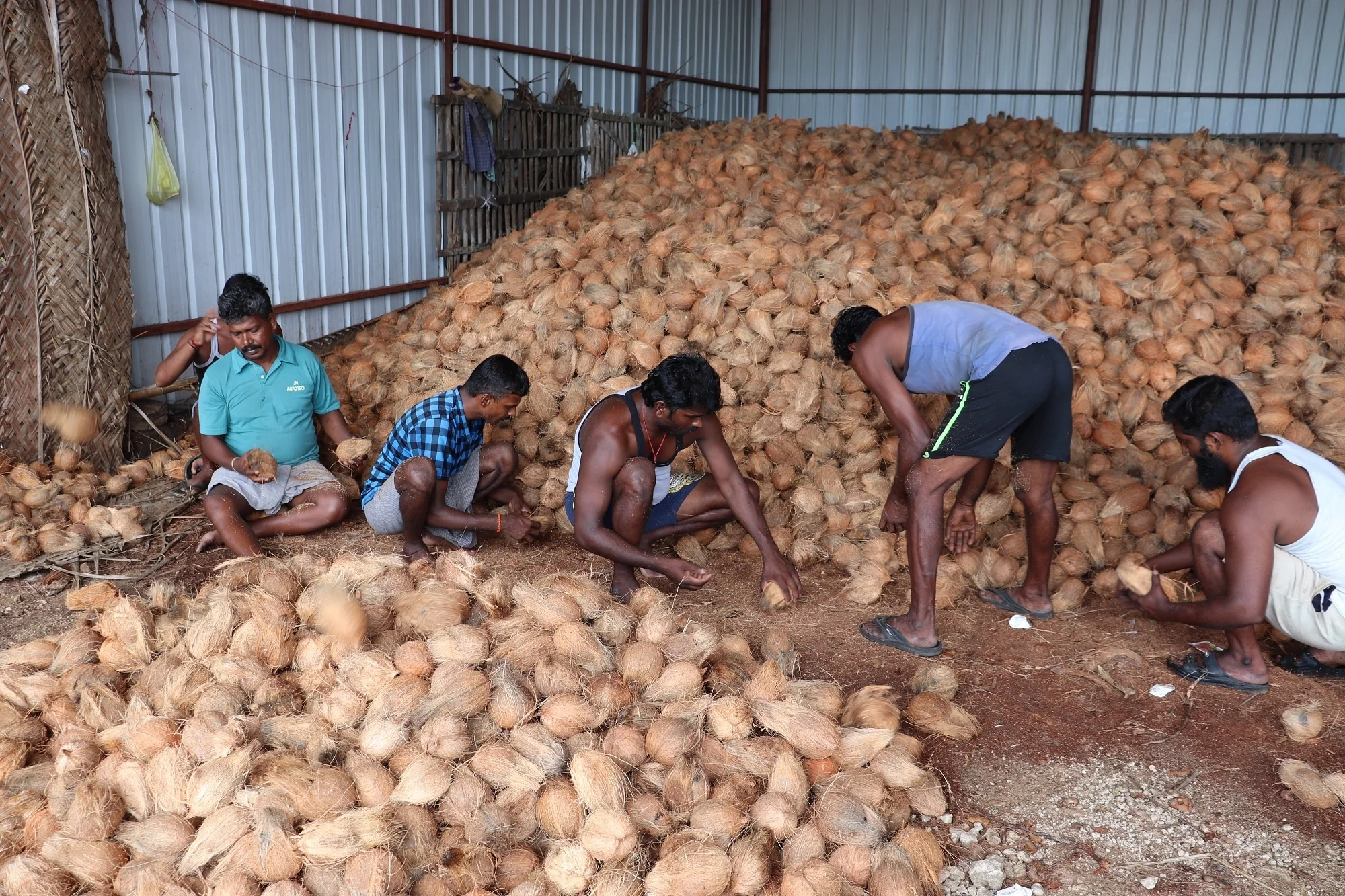PURE QUALITY COCONUT FROM